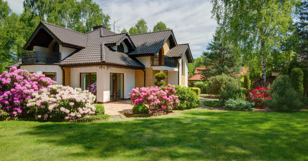 Smart landscaping can transform the appearance, and even value, of your home. Our experts reveal the best landscaping plants here.