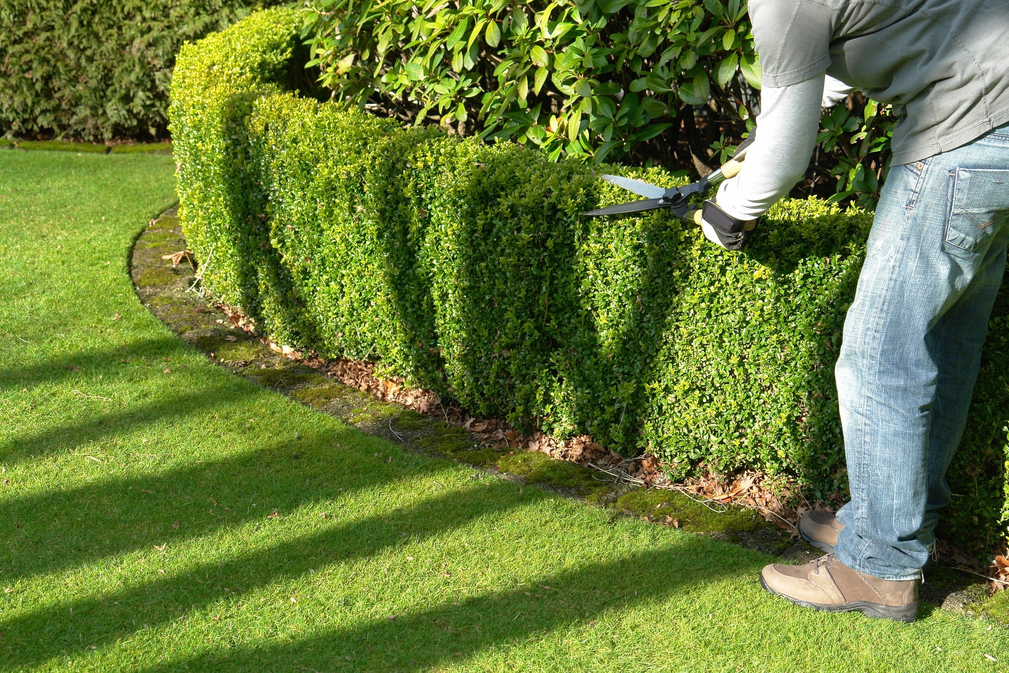  How Much Do Landscapers Charge Per Hour Marc Wallace s Blog