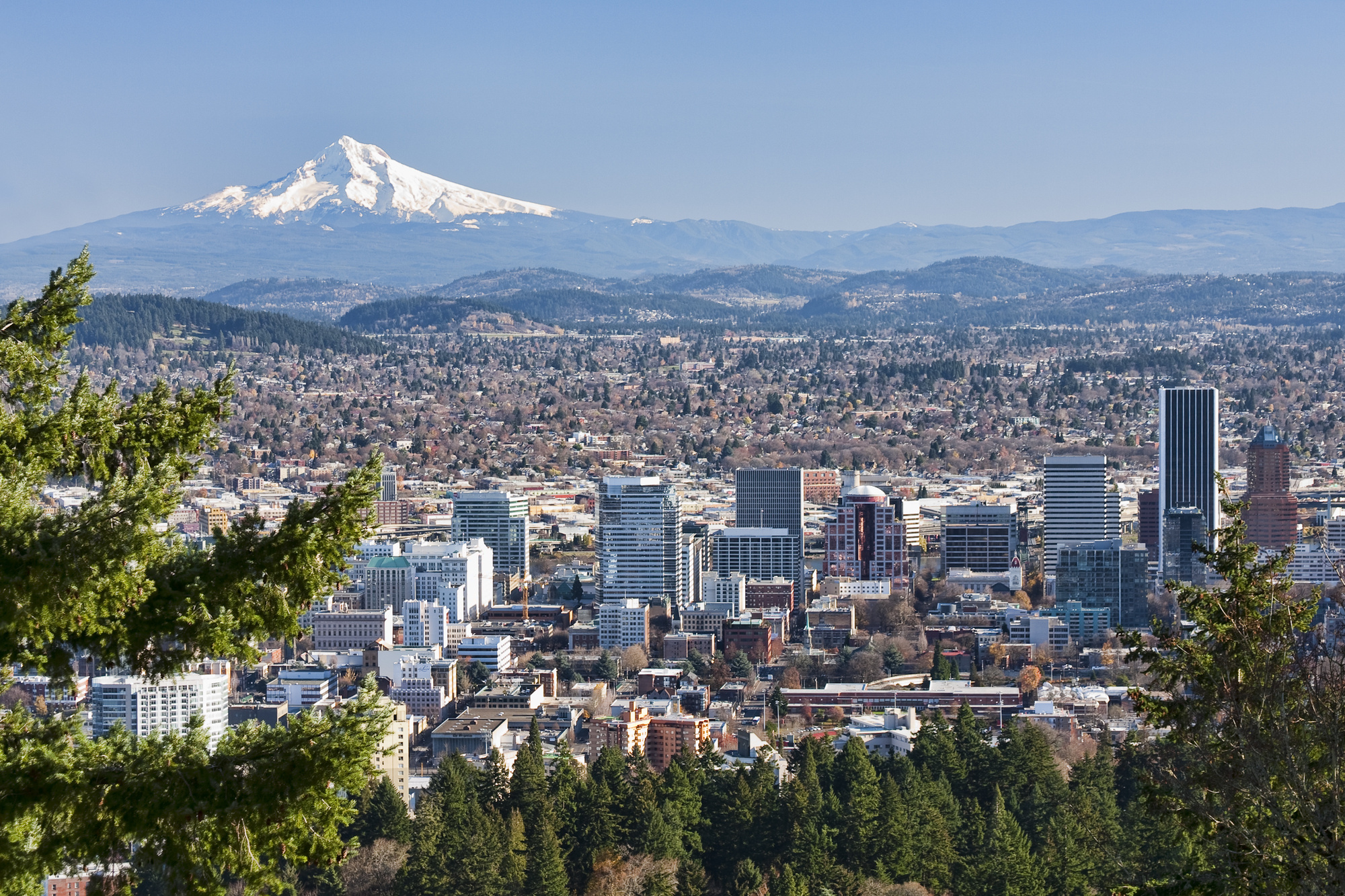 Pacific Northwest: The 7 Best Cities in Oregon to Live In