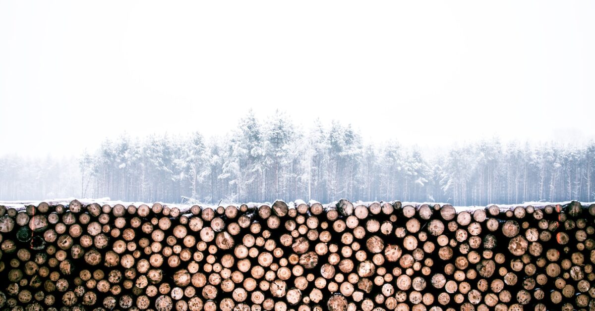 Tips to Save Money With a Firewood Delivery Service