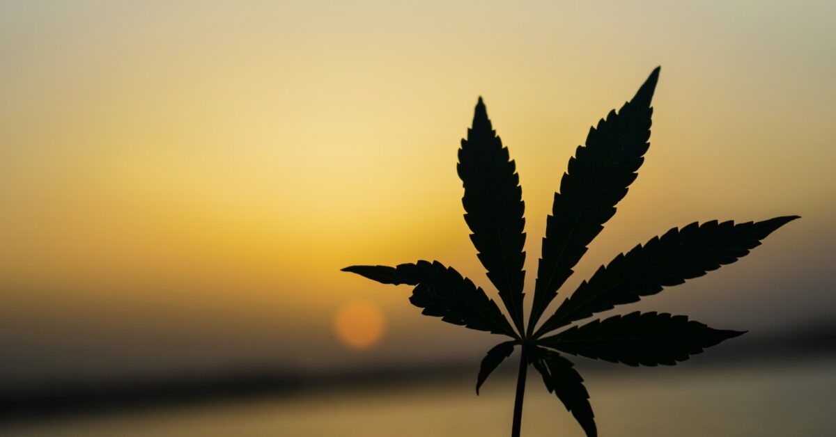 marijuana