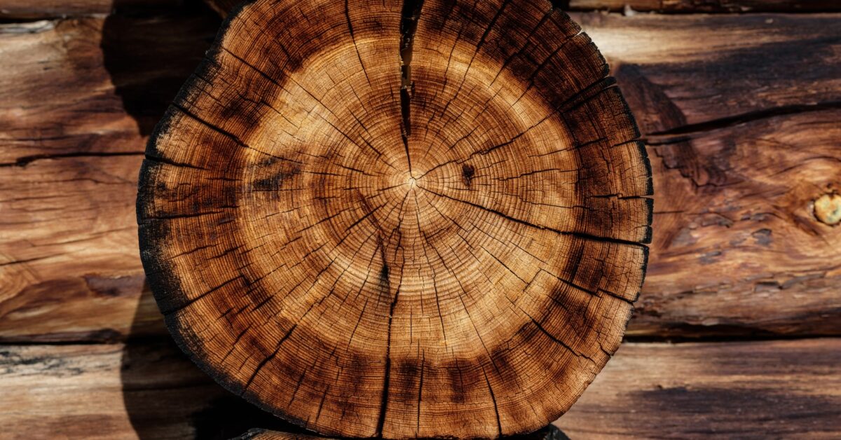 A Log Home Restoration: What to Expect