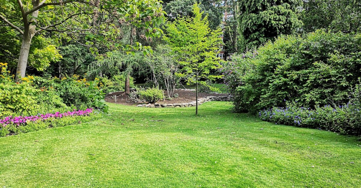 The Various Landscape Services You Should Be Aware Of