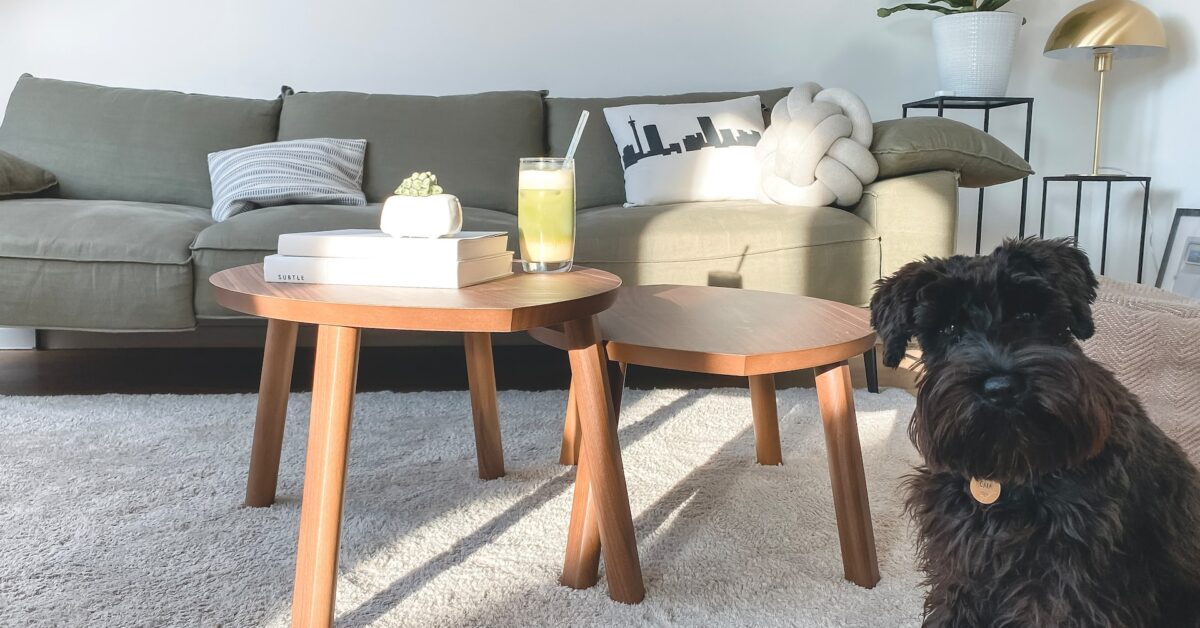Types of Carpet For Your Home