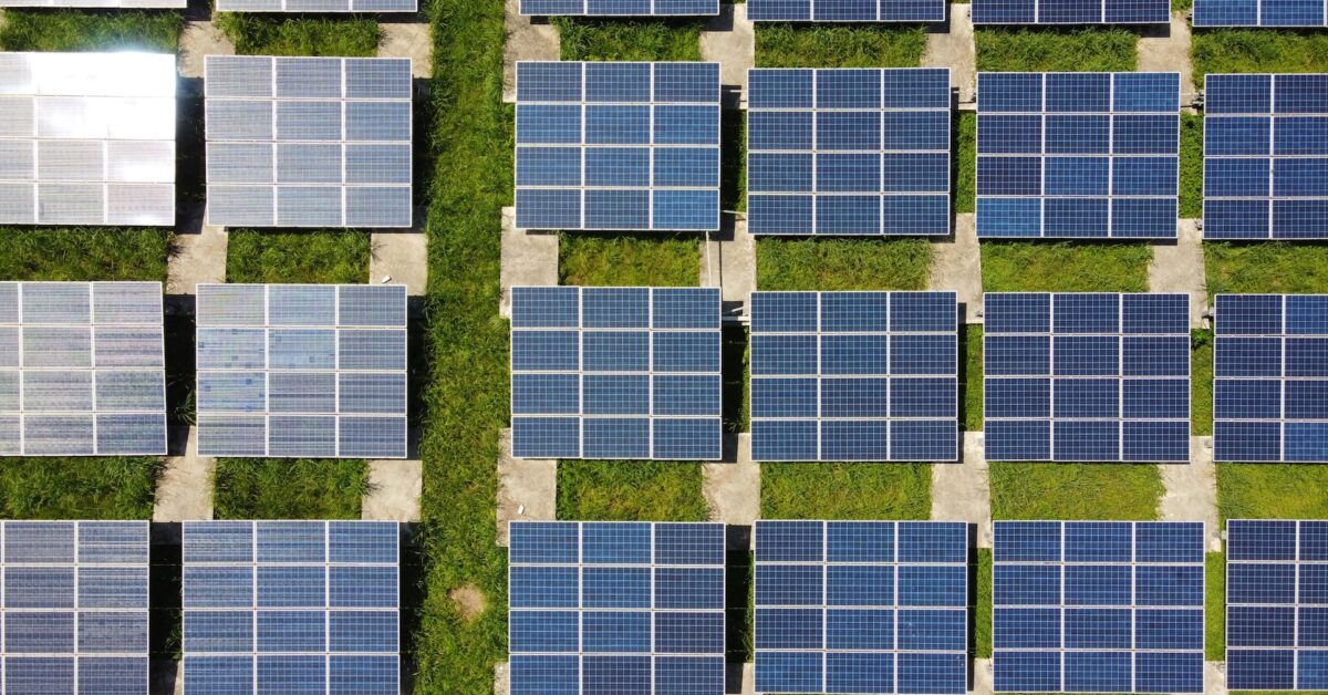 Why Do You Need To Integrate Sustainability Into Your Business