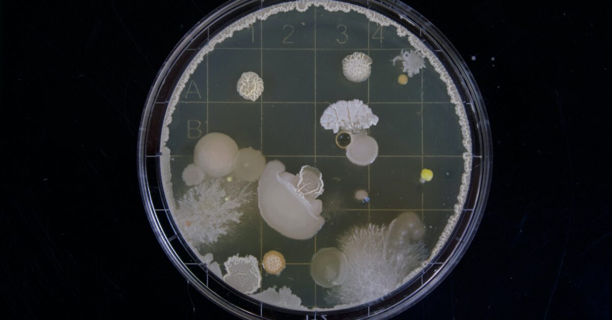 The Importance of High-Quality Mold Care Products to Injection Mold Equipment