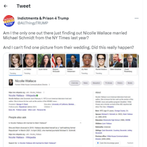 Nicolle Wallace and Michael Schmidt's Wedding Pictures Leaked