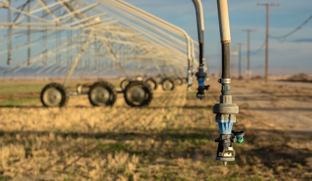 The Benefits of Professional Landscaping and Irrigation Services for Your Properties