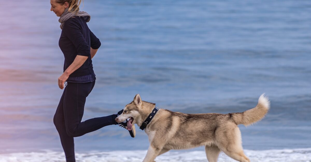 The Importance of Daily Exercise for Puppies – How Much is Enough?