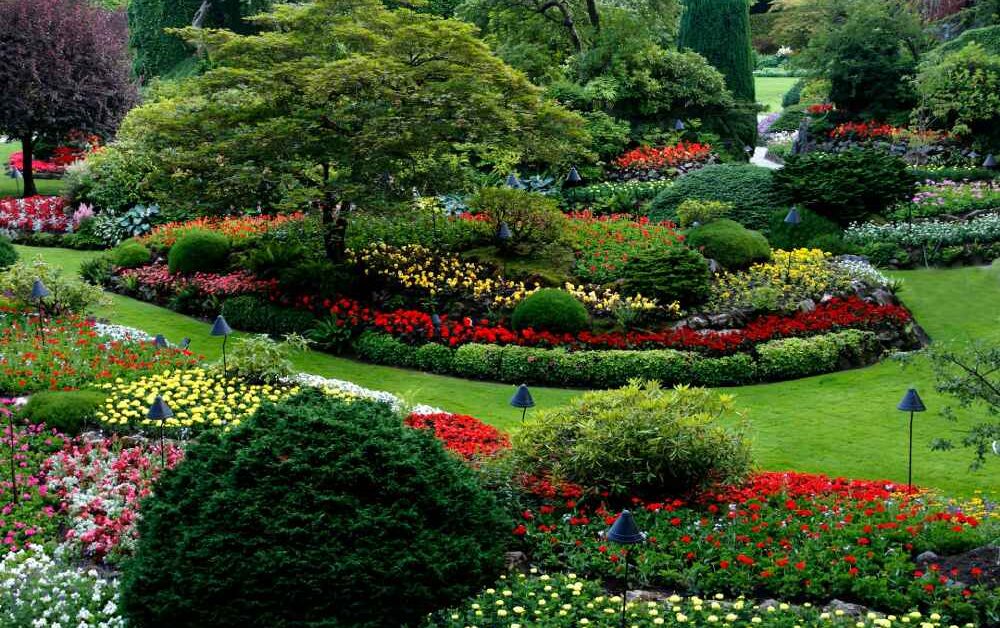 Crucial Factors to Consider When Choosing a Landscaping Provider