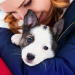 Embracing the Journey of Puppy Adoption