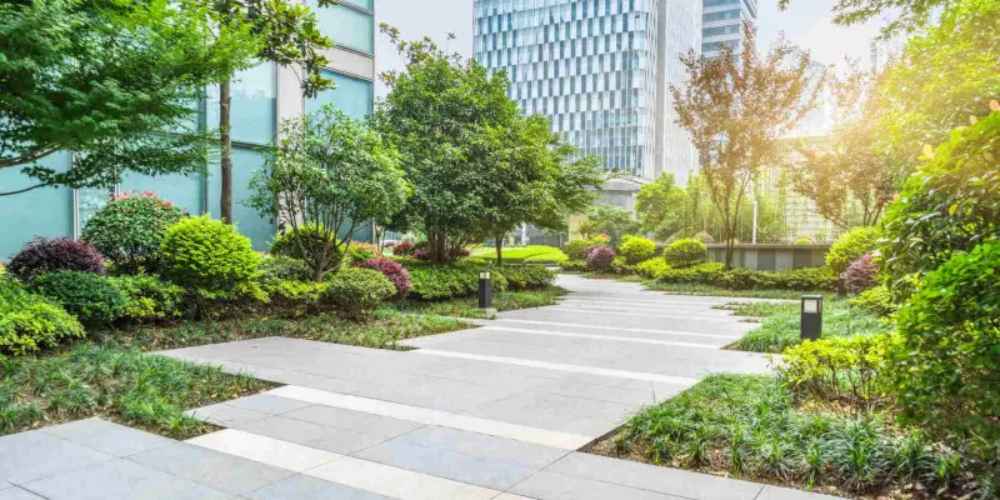 Step-by-Step Guide to Finding the Perfect Commercial Landscaping Partner