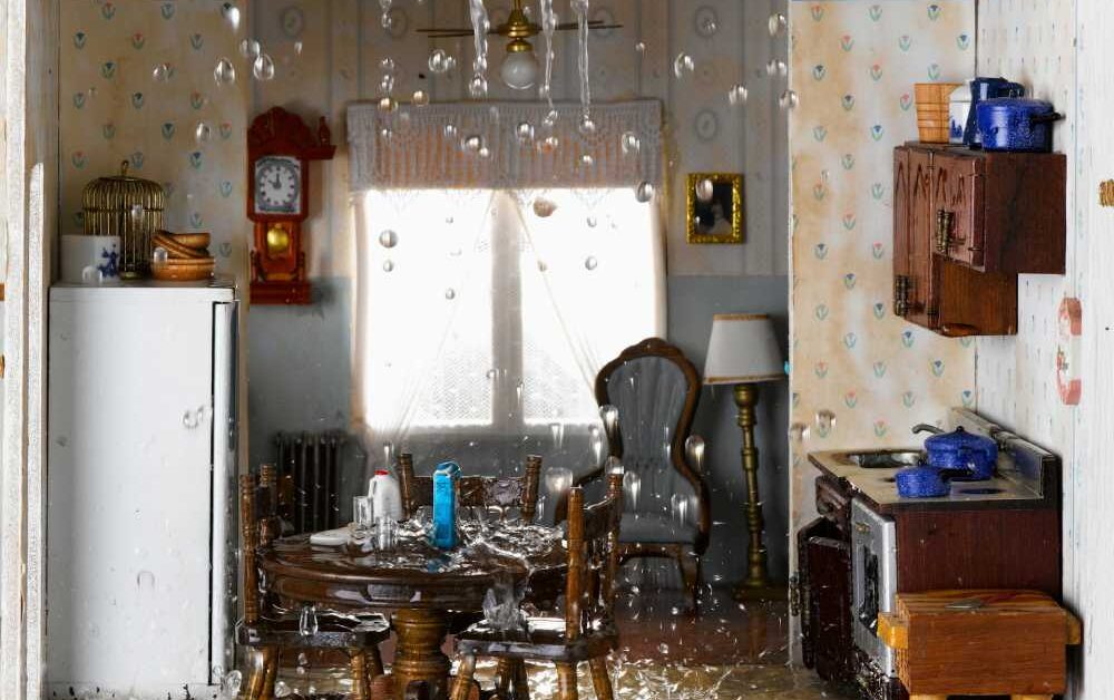 Don't Wait When You Have Water Damage