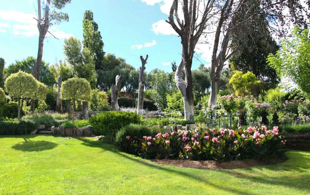 Intelligent Strategies for Sustainable Lawn Health