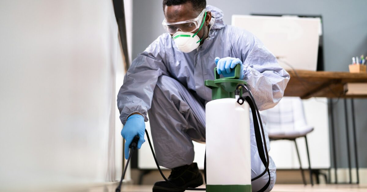 Pest Control Transforms Your Space
