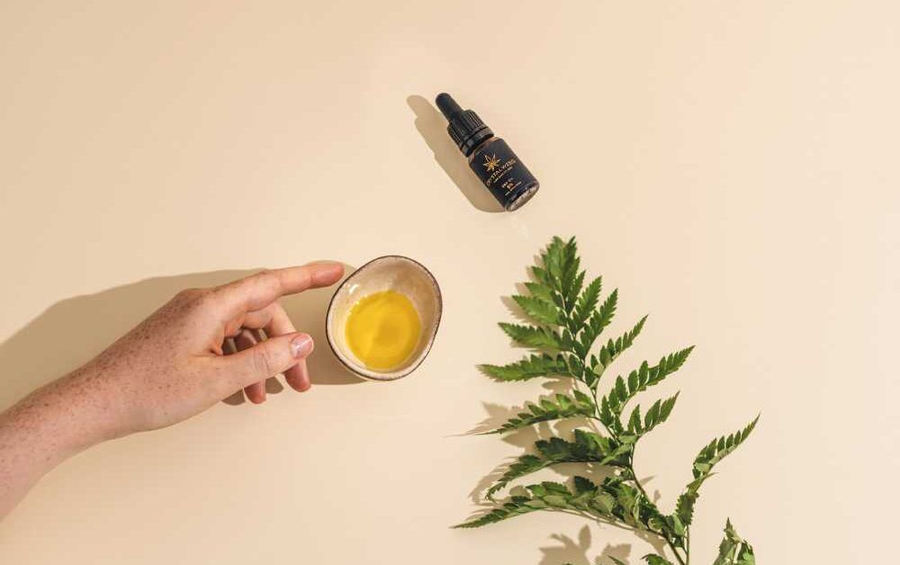 Discovering CBD: Its Rise and Impact on Modern Wellness