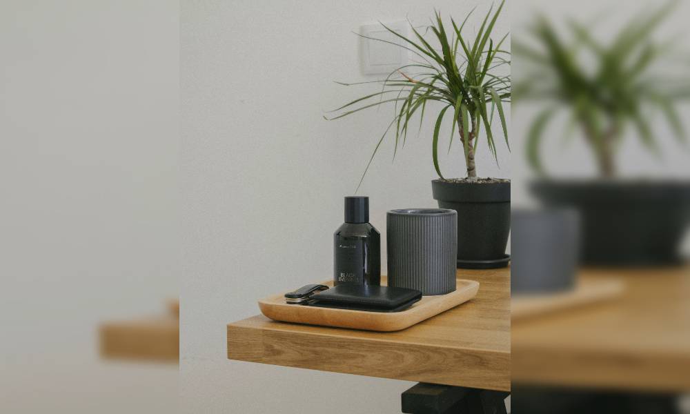 Discover the Best Air Purifier for Allergies