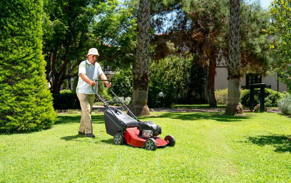 Nurturing a Lush Lawn: Essential Tips for Homeowners