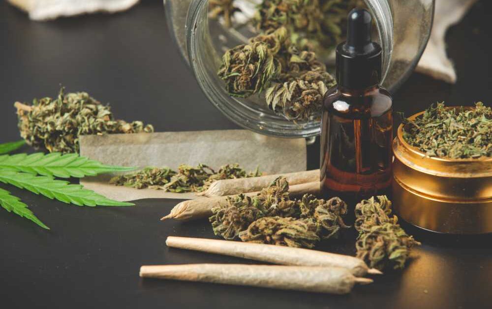 Green Gold Comprehensive Guide to THCA Flower and Its Potentials